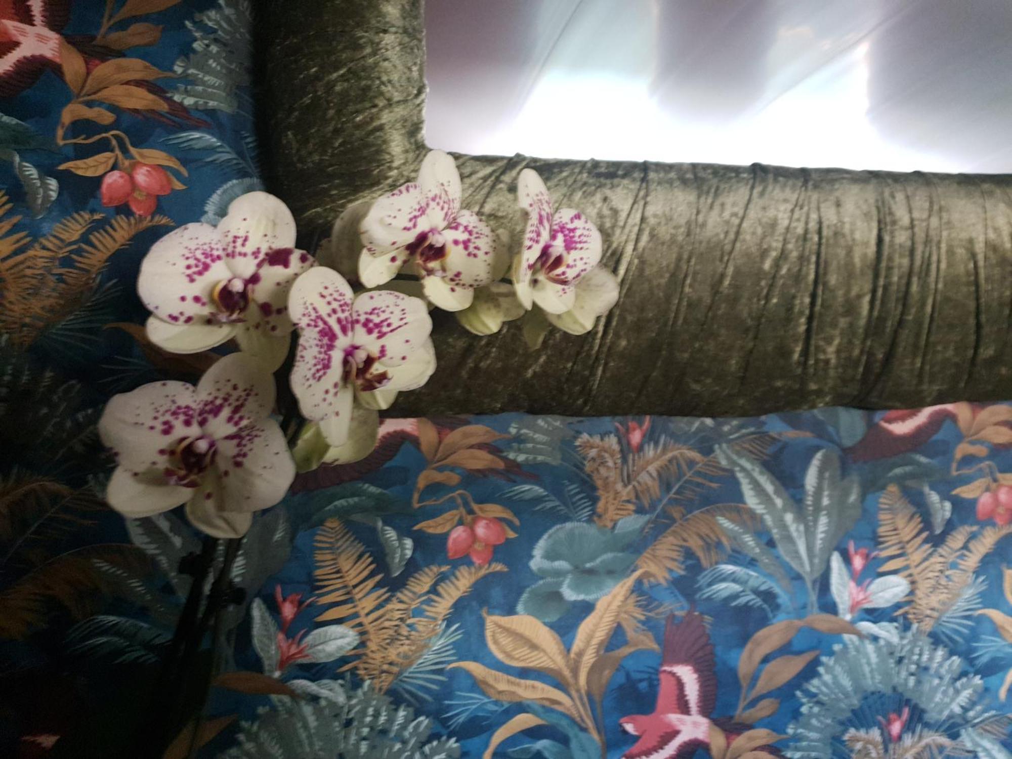 Jasmine Coral Jay Boutique Boatel Ocean Village Gibraltar Habitación foto